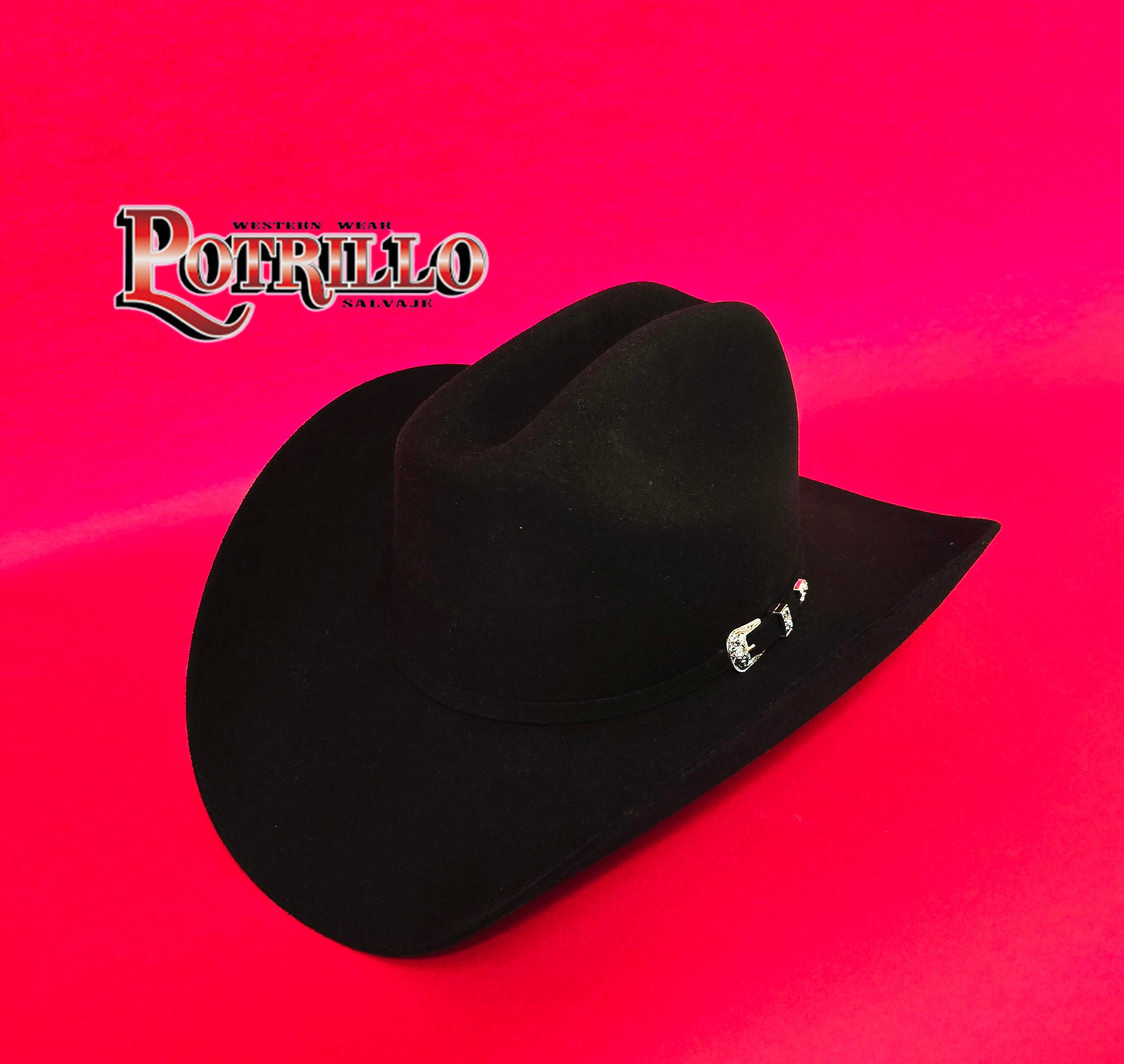 50X POTRILLO FELT HAT